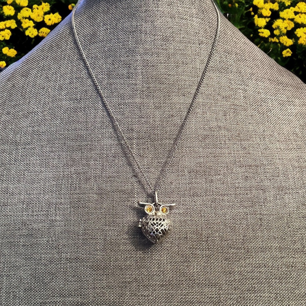 Caged heart owl essential oil pendant necklace
